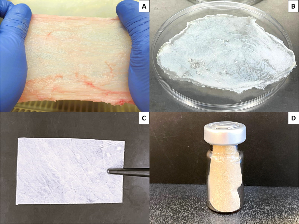 Comparison of physical, mechanical and biological properties of a porcine urinary bladder acellular matrix collagen membrane with six other collagen membranes of animal origin