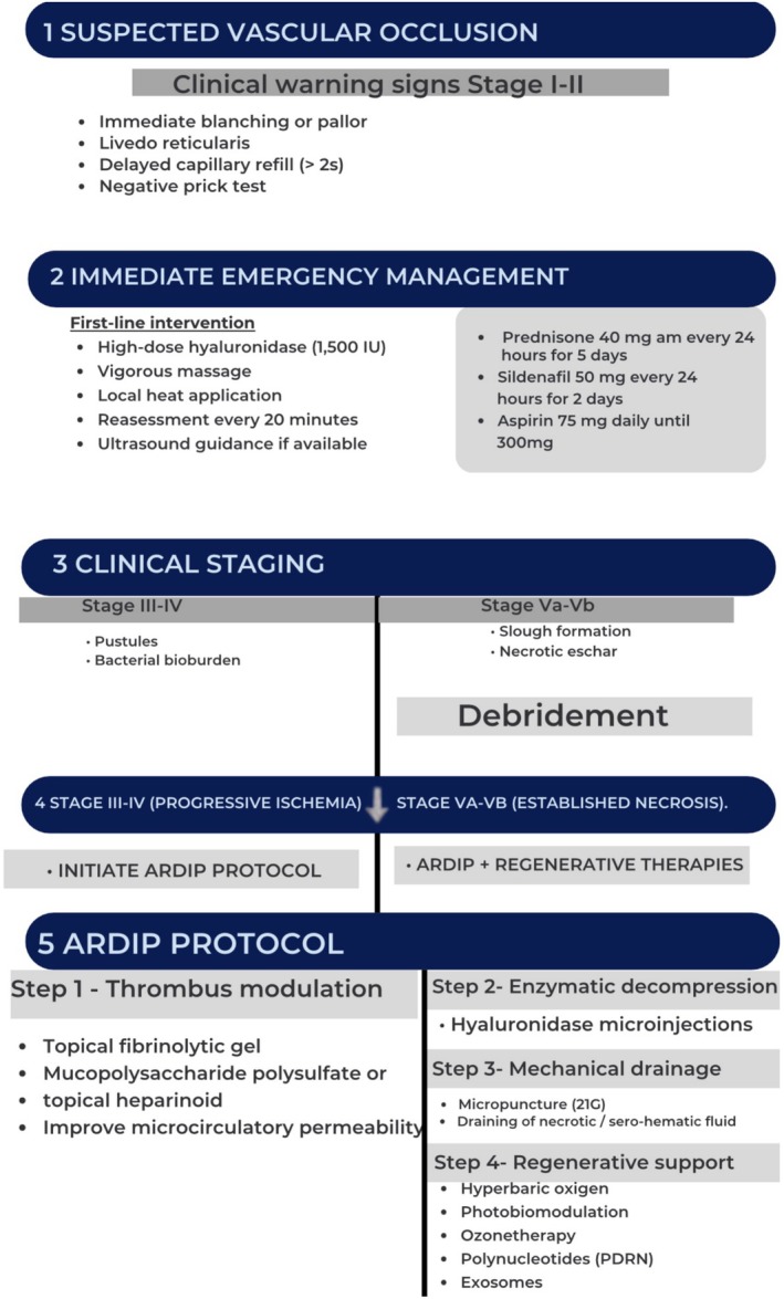 FIGURE 2. Clinical staging and management algorithm for hyaluronic acid–induced vascular occlusion. The schematic diagram illustrates the staged progression of vascular compromise (Stages I–Vb) and the corresponding therapeutic approach, including early hyaluronidase reperfusion and implementation of the ARDIP with adjunctive therapies in advanced stages. Diagram created by author.