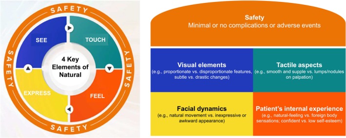 FIGURE 2. Natural outcomes framework. Safety underpins four key elements: Visual (“See”), tactile (“Touch”), experiential (“Feel”), and expressive (“Express”). The framework consists of four key elements—See, Touch, Feel, and Express—with safety encompassing all elements of natural outcomes. Definitions of each element: SEE: Natural outcomes are achieved when enhancements are subtle and realistic, preserving an individual's unique facial and ethnic features. TOUCH: Natural outcomes are characterized by the absence of palpable swelling, lumps, induration, surface irregularities, or unevenness, as assessed through physical palpation by the clinician and/or patient after the initial filler integration period. FEEL: Natural outcomes reflect to the patient's self‐perception and awareness, encompassing both: (i) the physical absence of a foreign body sensation after a reasonable timeframe; as well as (ii) the psychological and emotional aspect of maintaining self‐identity and individuality while positively impacting self‐esteem. EXPRESS: Natural outcomes preserve the authenticity of the individual's facial appearance and dynamics, without awkward movement and unnatural surface irregularities during animation. SAFETY: A safe product, supported by scientific evidence and a well‐established safety profile, forms the foundation for achieving natural outcomes through safe procedures. HCPs must possess in‐depth facial anatomical knowledge and apply precise injection techniques to ensure the safety of the procedure.