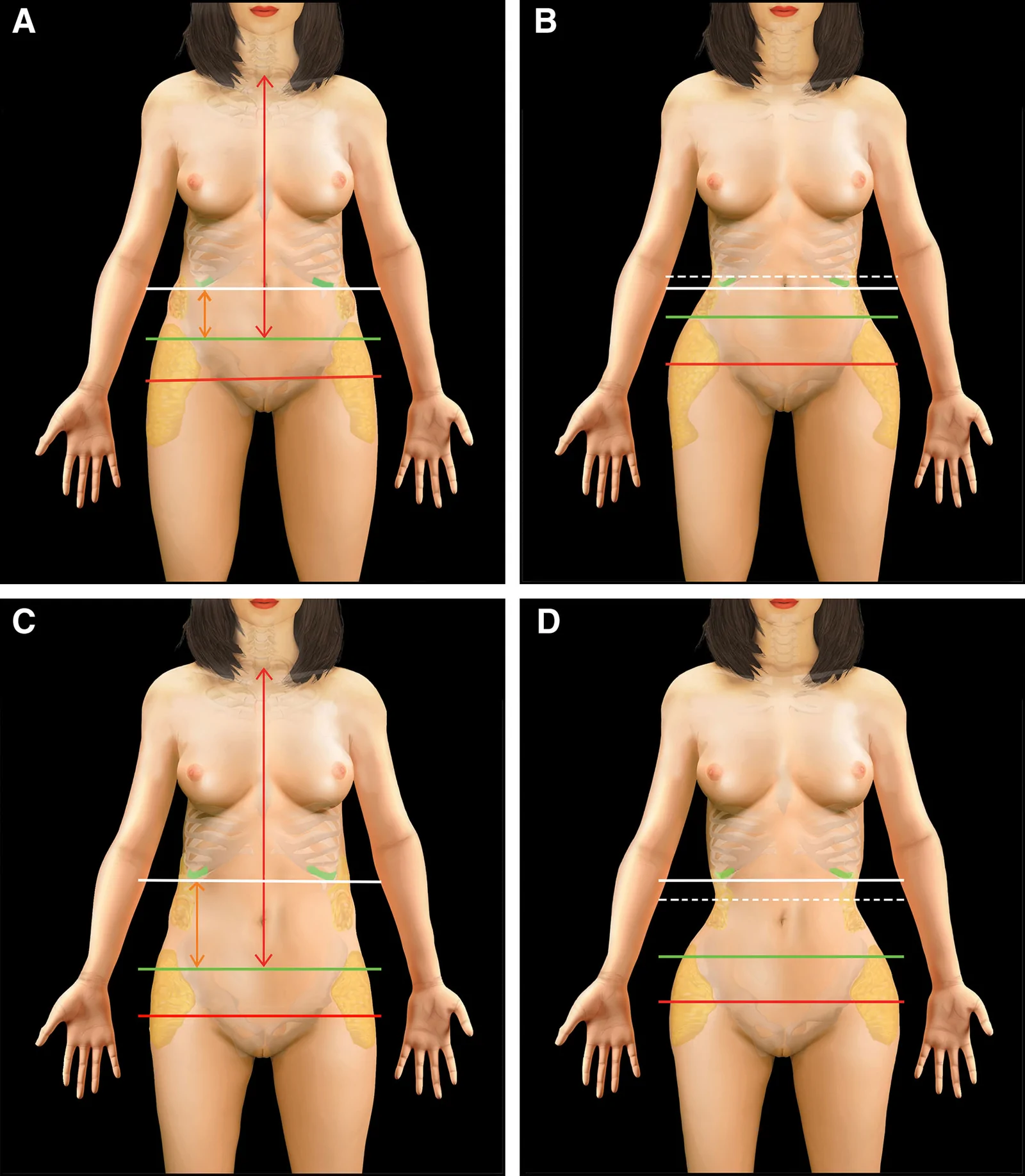 Fig. 4.