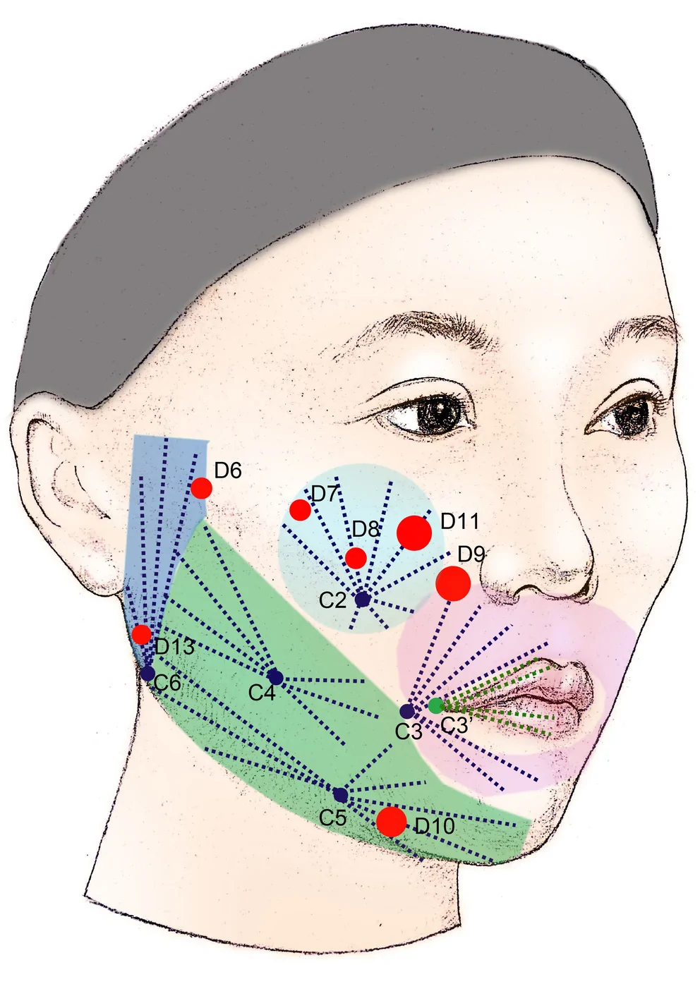 FIGURE 3