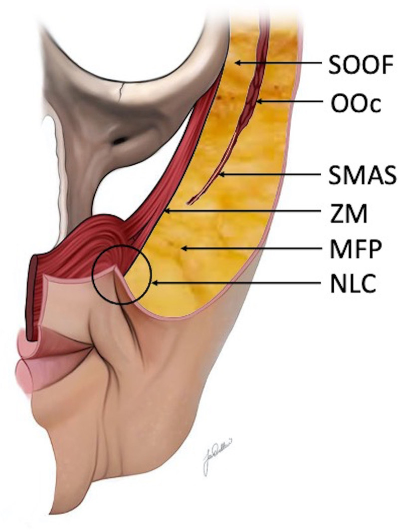 Fig. 3.