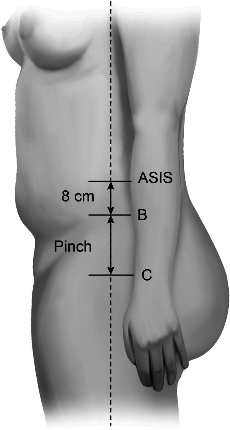 Fig. 3.