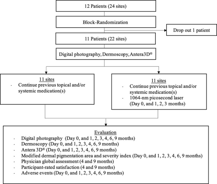 FIGURE 1